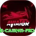 33d - Casino Pro
